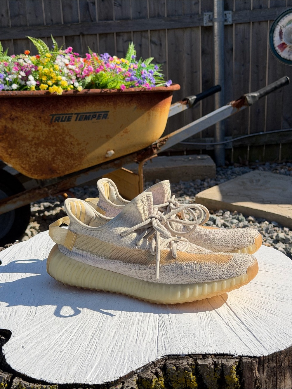 Adidas Yeezy 350